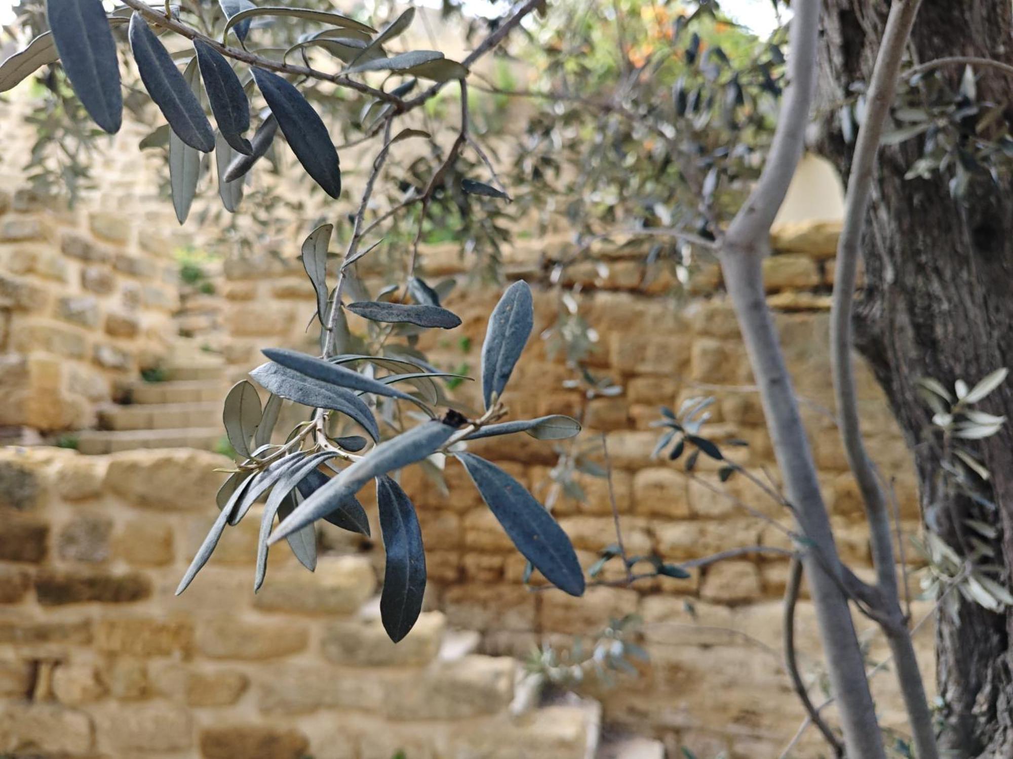 Villa Amoroso - Ospitalita Mediterranea Agrigento Exterior foto